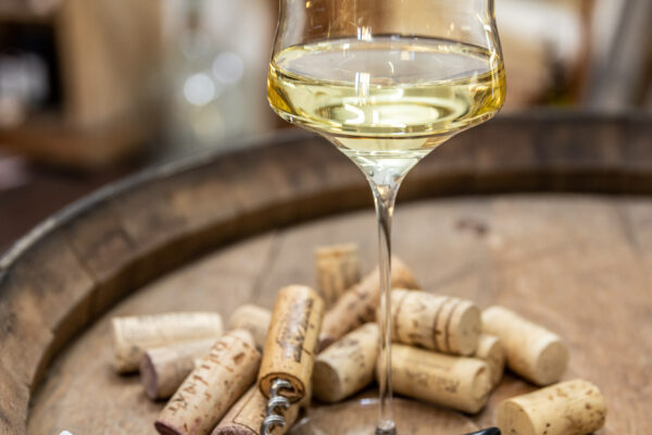 schreiber-fotodesign-selection-00124